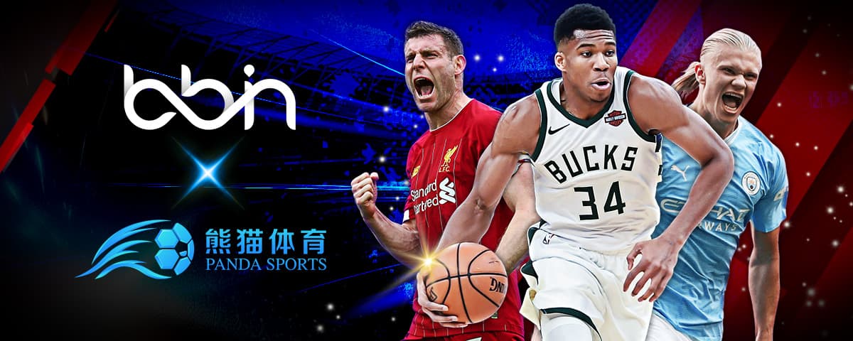 是什么